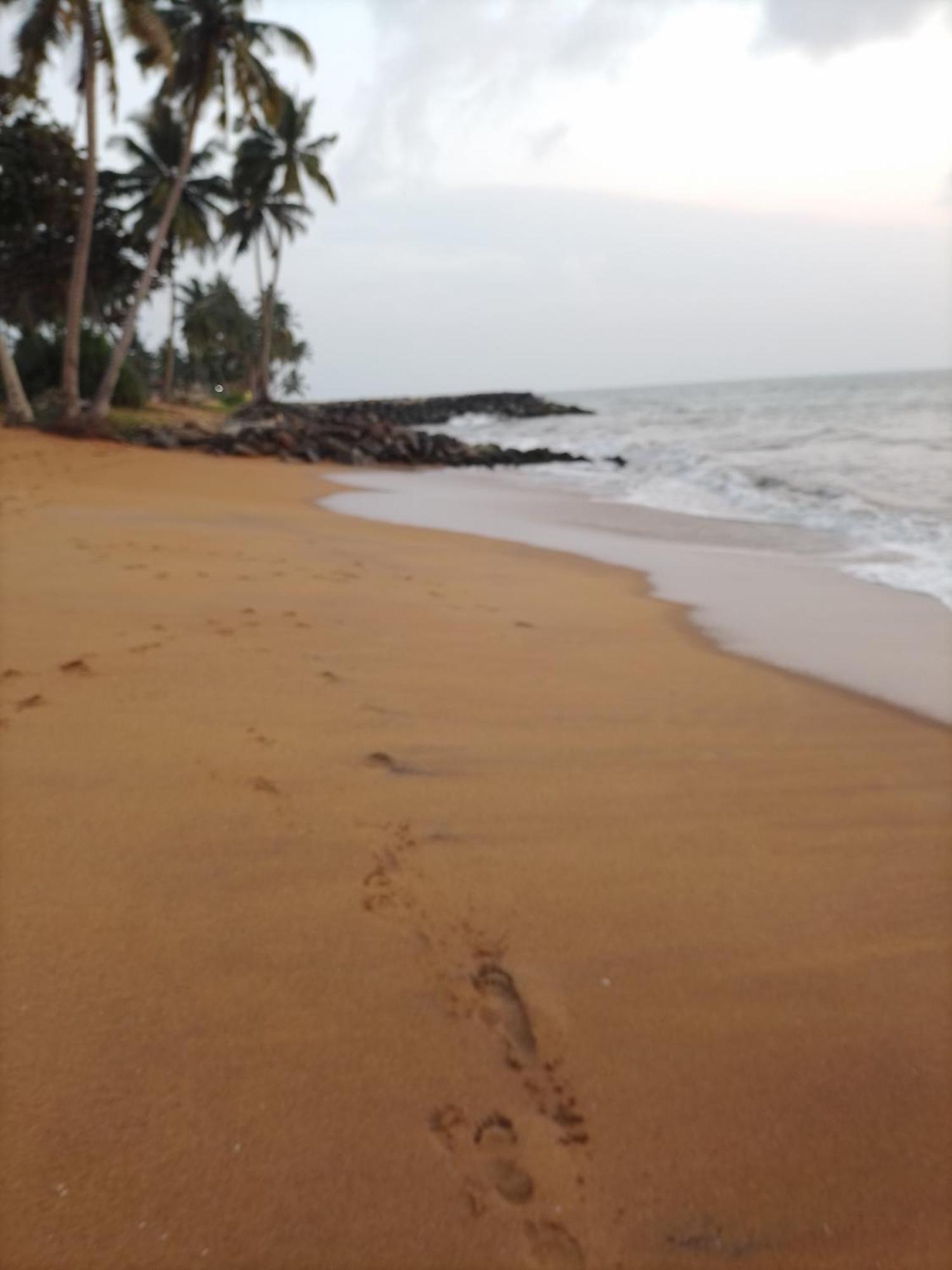 Our Little Secret Hotel Kalutara Ngoại thất bức ảnh